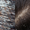 Image to render