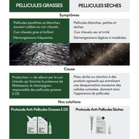 Protocole Anti-Pellicules Sèches