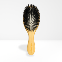 Brosse Lustrante