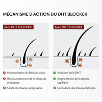 Protocole Anti-Chute Hormonale