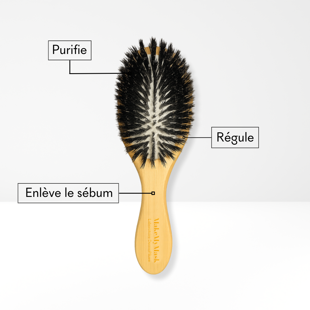 Brosse Lustrante