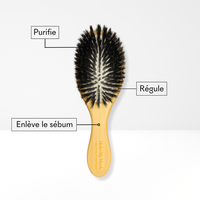 Brosse Lustrante