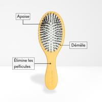 Brosse Lustrante & Démêlante