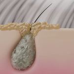 Gommage Actif Anti-Chute & Pousse