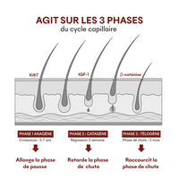 Protocole Anti-Chute Hormonale