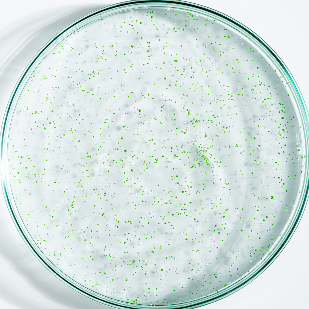 OFFRE 2 Gommages Anti-Pell= 1 Shampoing offert