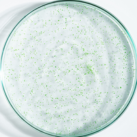 OFFRE 2 Gommages Anti-Pell= 1 Shampoing offert