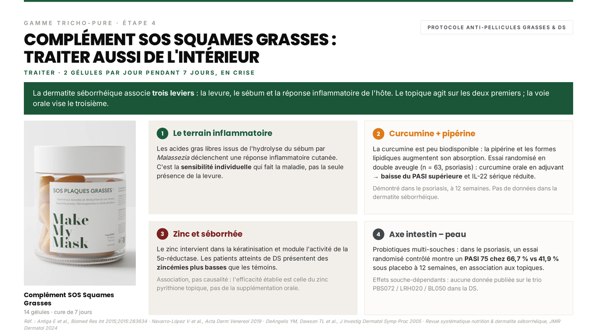 Avis